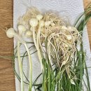 세븐충주목행점 이미지