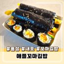 애플꼬마김밥 홍성내포점 | 홍성 내포 아이랑 먹기 좋은 애플꼬마김밥 방문 포장 후기