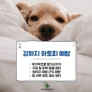 하남동물병원 이미지