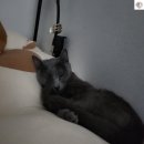 성산중앙로 | 제주 성산 맛집 만조이천쌀밥 제주성산점 | 전복솥밥 해물뚝배기 가성비 끝판왕 후기