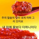 IMA: 원 보야지(One Voyage)에 대해 이야기해 보겠습니다. 2026.09.05.토 이미지