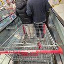 이마트트레이더스 주차장입구 횡단보도 | 🛒 코스트코 광명점 vs 트레이더스 군포점 끝장 비교! 결제 팁부터 추천템까지