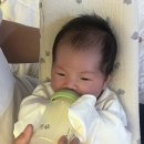 몸이튼튼고기마트 - 달서구 선원남로 88 | 2026 출산혜택 경기도 맘튼튼 축산물 꾸러미 총정리 | 용인시 신청후기