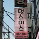 댕스미스 애견미용 이미지