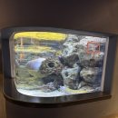 동산지하차도 | 아쿠아플라넷 광교 이용후기 (주차,할인,공연,Tip)