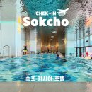 디자인호텔뜰앤 | 속초 숙소 추천 속초 카시아 호텔 오션뷰 트윈룸 수영장 후기