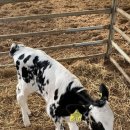 남악농장 이미지