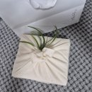 바이탈(VITAL)치과기공소 | 치과위생사 1년차 두달 출근 후기