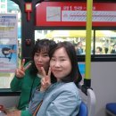 오토오아시스 내동한빛점 | 설연휴 대전시 공영주차장 무료 개방 및 당직자동차정비업소 안내