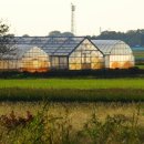 K-farm농장 이미지