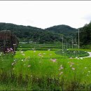 다락골줄무덤 주차장 이미지