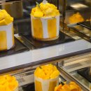 지하철역사 (대전역) | 성심당 대전역점 가는 길 입구 메뉴 빵 구성 웨이팅 및 망고시루 생망고타르트 판매시점 금액 후기