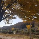 순일농장 이미지