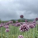 부흥 마을회관 이미지