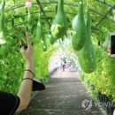 결성면 원천마을회관 이미지