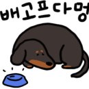 못난이꽈배기 목2동점 이미지