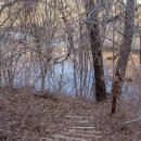 이야기가 있는 생태 탐방로 | 화천 가볼만한 곳 곡운구곡 생태탐방로 다녀온 이야기