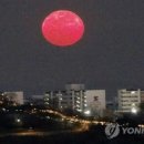 달오름 - 서귀포시 태평로 449 | 달오름