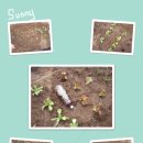 신갈농장 이미지