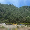 씨유프리다이빙 | 서울 당일치기 프리다이빙가능 인제 백담계곡 주차 정보