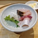 스시다케타 | 대구 죽전역 맛집 오마카세 스시다케타