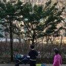 도자농장 이미지