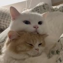 부산현대미술관 이미지