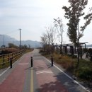 강변운동장제방 이미지