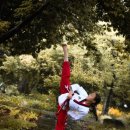 오즈태권도2관 | [제주 삼화지구 태권도] 오즈 태권도 2관 | 제주 지부 타툴 정기 세미나+발차기 여행✨