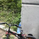 씨디팜(주) | 6월 시험이 끝나고 일반 일상