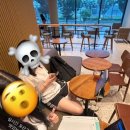 고삼마을펜션 | 떵개 오늘의 tmi는여~