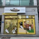 아이조아라 | 부산고양이미용 후기｜대연동 고양이조아라 예약·가격·서비스 총정리