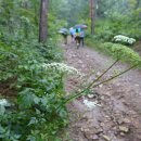 태백고원 700 산소길 이미지