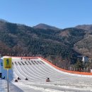 경기도 양주 눈꽃축제 눈썰매장 재방문 후기 (할인 공유)