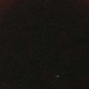 농장염소탕 이미지