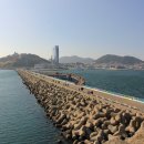 오동도 Daum카페