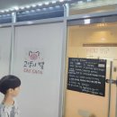 고양이별 캣 카페 이미지