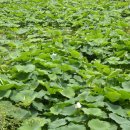 합천군산림조합 이미지