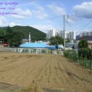 대천동-5 이미지