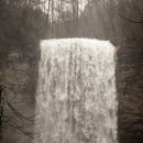 영양 만점 요리 이미지