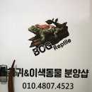 보그렙타일
