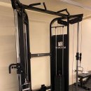 크로스핏 코알라 이미지