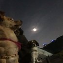 일우농장 이미지