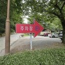 팔공산오리 이미지