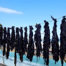 어촌마을 이미지