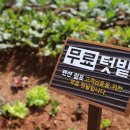 순천만쉼표 이미지