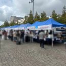 정발산역2번 출구(문화광장) | 이곳은 하룰라라 또는 궁전(?) 2025 고양시 전국 막걸리 축제 방문 후기