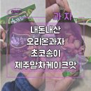 초코송이 말차 오리온과자 후기 내돈내산(제주말차케이크맛 초코송이)