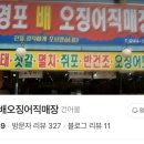 경포배오징어 이미지