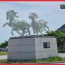 해수천1호 Daum카페